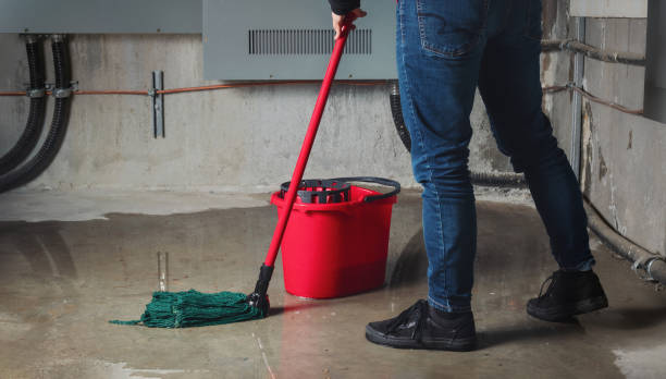 Best Residential water damage restoration  in Mount Hermon, CA