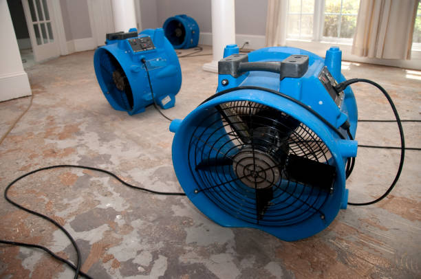 Best Flood damage cleanup  in Mount Hermon, CA